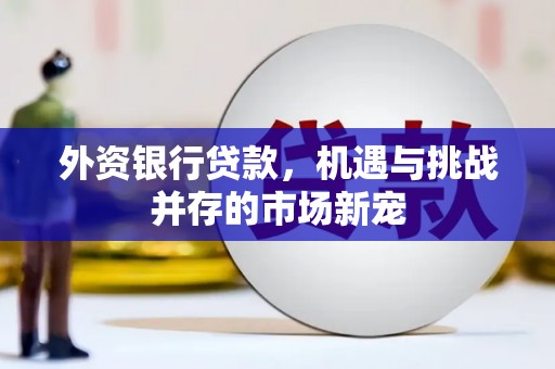 莒光外资银行贷款，机遇与挑战并存的市场新宠