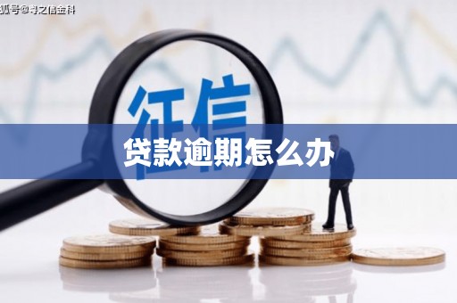 莒光贷款逾期怎么办