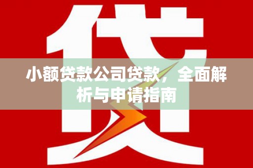 莒光小额贷款公司贷款，全面解析与申请指南