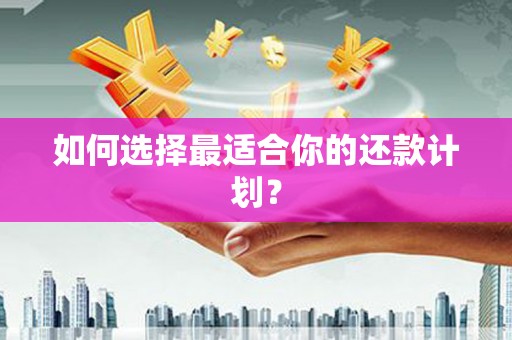 莒光如何选择最适合你的还款计划？