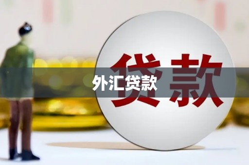 莒光外汇贷款