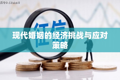 莒光现代婚姻的经济挑战与应对策略