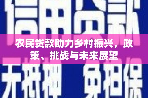 莒光农民贷款助力乡村振兴，政策、挑战与未来展望