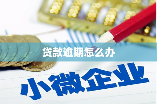 莒光贷款逾期怎么办