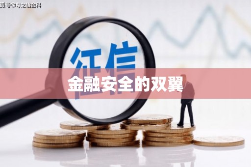 莒光金融安全的双翼