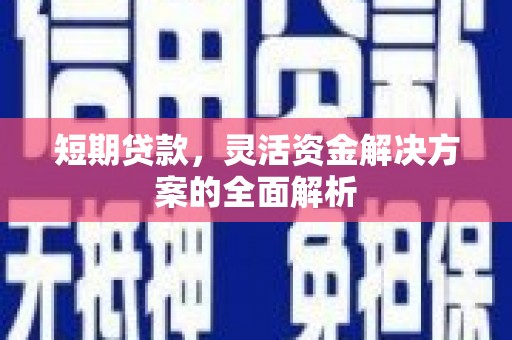 莒光短期贷款，灵活资金解决方案的全面解析