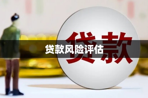 莒光贷款风险评估