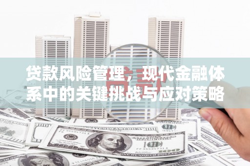 莒光贷款风险管理，现代金融体系中的关键挑战与应对策略