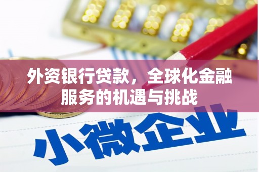 莒光外资银行贷款，全球化金融服务的机遇与挑战
