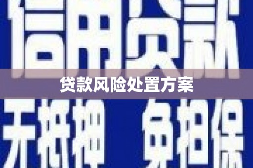 莒光贷款风险处置方案