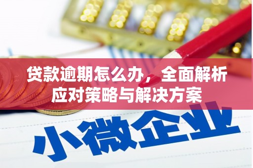 莒光贷款逾期怎么办，全面解析应对策略与解决方案