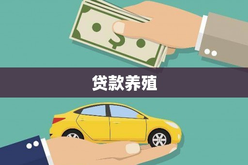 莒光贷款养殖