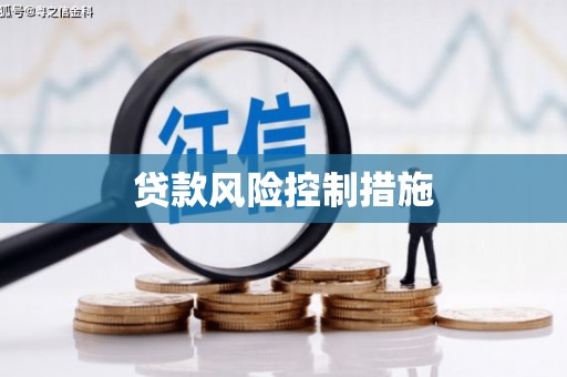 莒光贷款风险控制措施