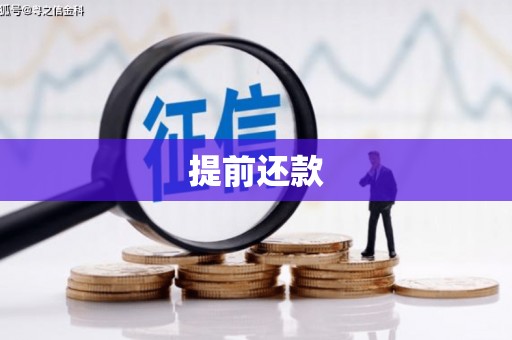 莒光提前还款