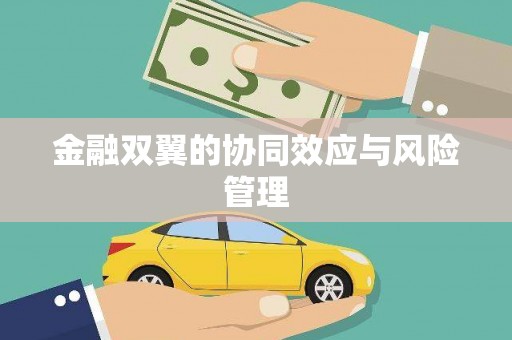 莒光金融双翼的协同效应与风险管理