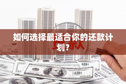 莒光如何选择最适合你的还款计划？