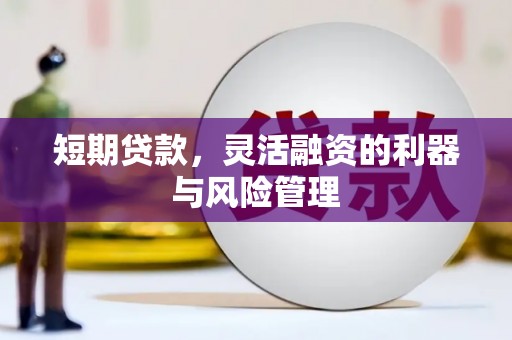 莒光短期贷款，灵活融资的利器与风险管理